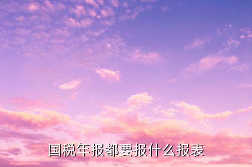 國稅年報都有什么報表，國稅年報都要報什么報表
