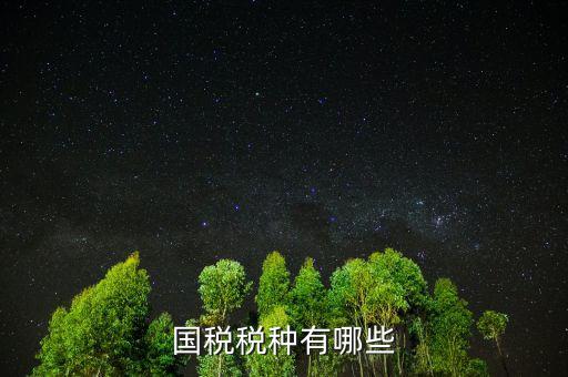 國(guó)稅都有什么稅，國(guó)稅包括哪些啊