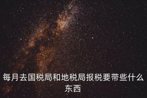 國稅大廳報(bào)稅需要什么，你好請教你一下如果我去國稅大廳報(bào)稅的話都需要帶什么東西填