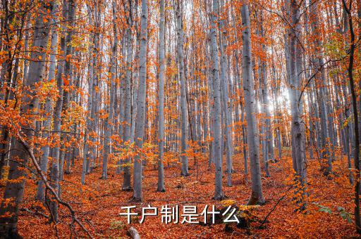 千戶(hù)制是什么