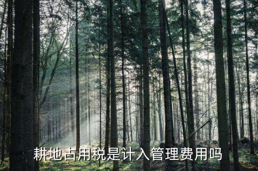 耕地占用稅是什么意思，耕地占用稅是計入管理費用嗎