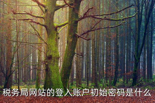 浙江國(guó)稅登入密碼是什么，稅務(wù)局網(wǎng)站的登入賬戶初始密碼是什么