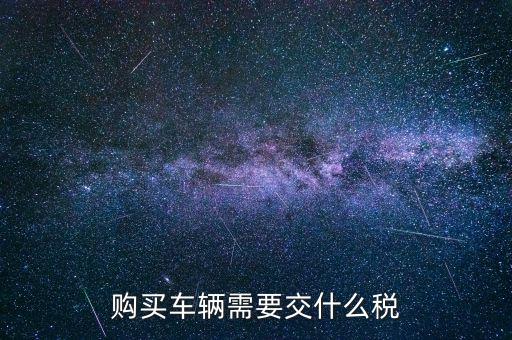 車輛納稅需要什么，汽車交稅需要帶什么