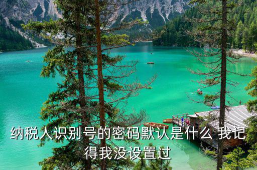 山東默認(rèn)國(guó)稅密碼是什么意思，你好我想問(wèn)你 一下 網(wǎng)上國(guó)稅的用戶名和密碼是什么