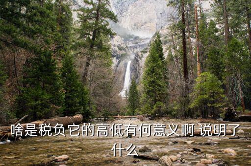 什么是稅負(fù)分析，增值稅稅負(fù)什么意思