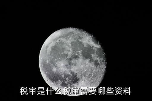 什么是大企業(yè)稅務審計，審計和稅務