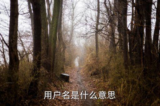 個稅用戶名是指什么意思，用戶名是什么意思