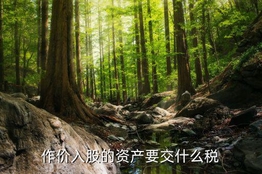 入股金繳納什么稅，作價入股的資產(chǎn)要交什么稅