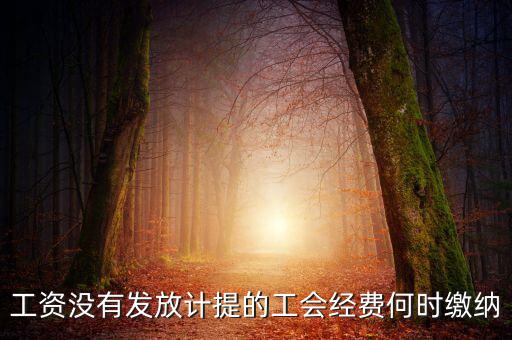 工會經費一般什么時候交，工資沒有發(fā)放計提的工會經費何時繳納