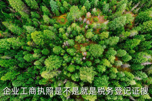 什么是工商稅務(wù)登記證，什么是稅務(wù)證