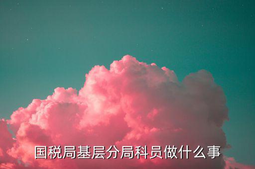 國(guó)稅局文秘主要干什么，國(guó)稅局基層分局科員做什么事