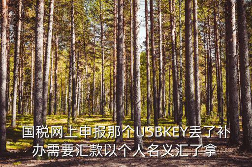 稅務(wù)ukey是什么意思，國(guó)稅網(wǎng)上申報(bào)那個(gè)USBKEY丟了補(bǔ)辦需要匯款以個(gè)人名義匯了拿