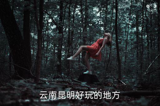 云南昆明地稅旁有什么好玩的地方，云南昆明有哪些好玩的地方