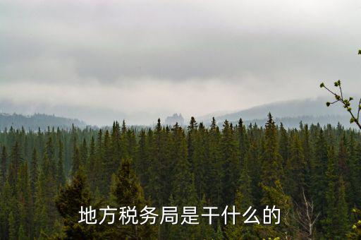 地稅局涉外稅收做什么，陜西發(fā)票涉外地稅是什么意思