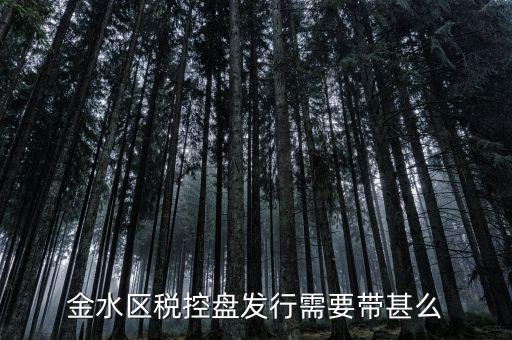 稅盤發(fā)行要帶什么資料，去國(guó)稅局辦發(fā)行需要什么資料