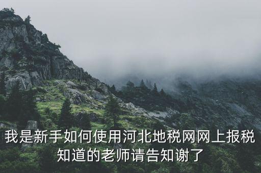 河北地稅申報(bào)用戶名是什么意思，用戶名是什么意思