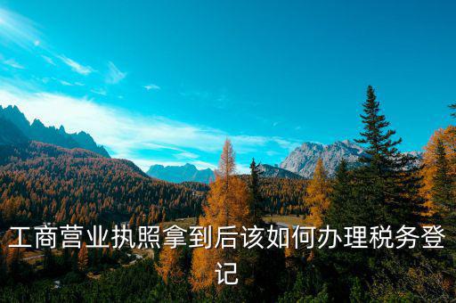 營業(yè)執(zhí)照辦理后稅務(wù)辦理什么，工商營業(yè)執(zhí)照拿到后該如何辦理稅務(wù)登記