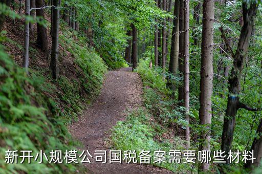 國稅備案需要什么材料，新開小規(guī)模公司國稅備案需要哪些材料