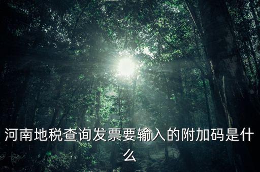 河南發(fā)票密碼是什么樣的，河南地稅查詢發(fā)票要輸入的附加碼是什么