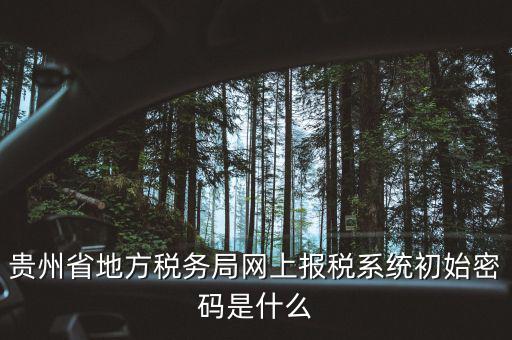 黑龍江電子稅務(wù)是什么，貴州省地方稅務(wù)局網(wǎng)上報稅系統(tǒng)初始密碼是什么