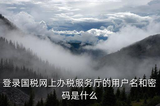 電子稅務(wù)局登陸用戶名是什么，登錄國(guó)稅網(wǎng)上辦稅服務(wù)廳的用戶名和密碼是什么