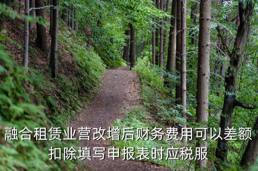 應(yīng)稅服務(wù)扣除項(xiàng)目清單干什么用，應(yīng)稅服務(wù)扣除項(xiàng)目清單中允許扣除項(xiàng)目金額指的是什么是總