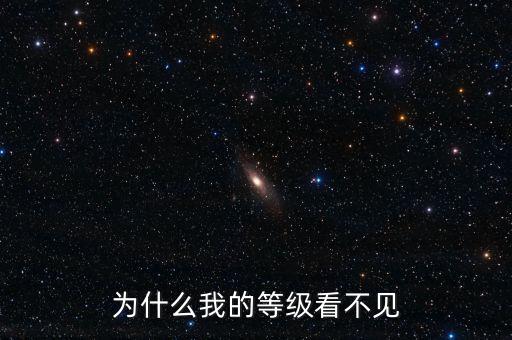 為什么無法查詢到納稅等級(jí)，為什么我的等級(jí)看不見