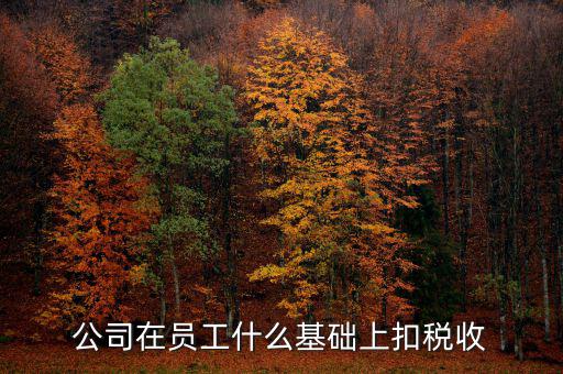什么是稅收基礎(chǔ)工作，問(wèn)個(gè)問(wèn)題稅務(wù)基本建設(shè) 是個(gè)什么崗位