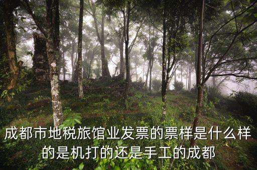 發(fā)票票樣是什么意思，一張票上印著票樣是什么意思可以用嗎