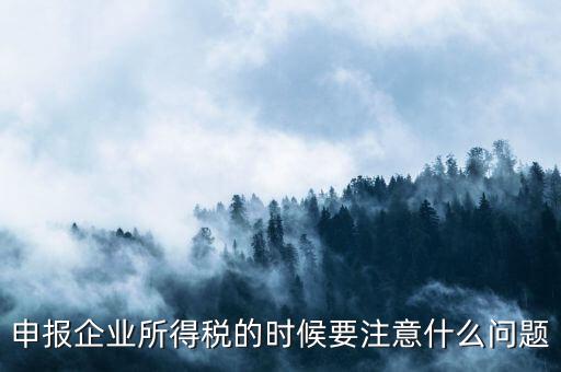 年度企業(yè)所得稅申報注意什么，申報企業(yè)所得稅的時候要注意什么問題