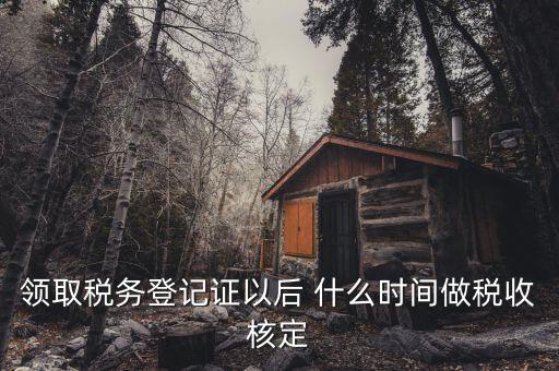 什么時候需要稅種核定，新注冊企業(yè)什么時候要申請稅種核定并購買發(fā)票
