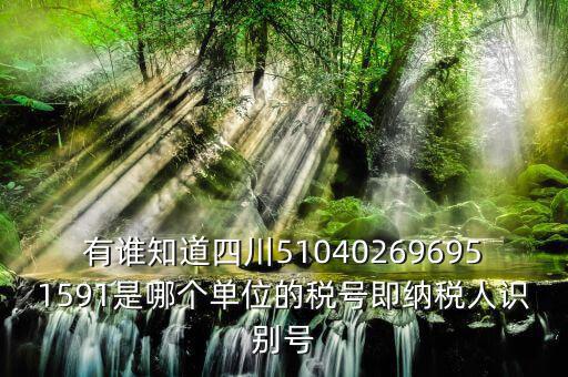四川國稅廳帳號是什么，有誰知道四川510402696951591是哪個單位的稅號即納稅人識別號