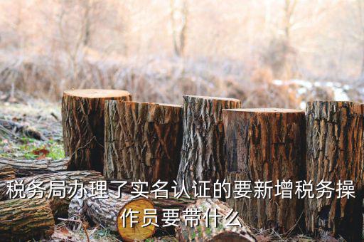 四川國(guó)稅局實(shí)名認(rèn)證需要什么資料，國(guó)稅發(fā)票認(rèn)證需要準(zhǔn)備那些資料 到大廳辦的時(shí)候工作人員叫我拿U盤