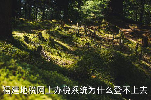 企業(yè)所得稅系統(tǒng)為什么登不上，福建地稅網上辦稅系統(tǒng)為什么登不上去