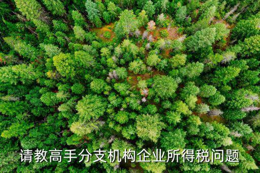 企業(yè)所得稅分管單位是什么意思，企業(yè)所得稅主管稅務(wù)局指的是什么