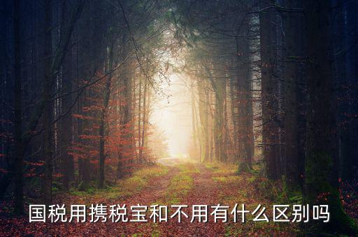 稅寶是什么，國稅用攜稅寶和不用有什么區(qū)別嗎