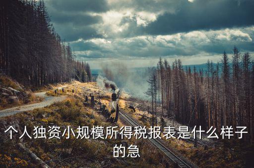 所得稅報表是什么樣的，企業(yè)所得稅年度納稅申報表