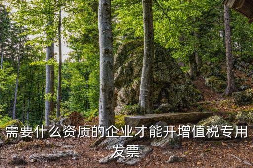 什么公司可以開增值稅專用發(fā)票，什么樣的企業(yè)才能開增值稅專用發(fā)票
