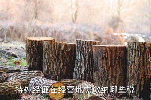江蘇企業(yè)開外經證要交什么稅，持外經證在經營地需繳納哪些稅