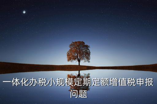 非定期定額戶申報是什么意思，一體化辦稅小規(guī)模定期定額增值稅申報問題