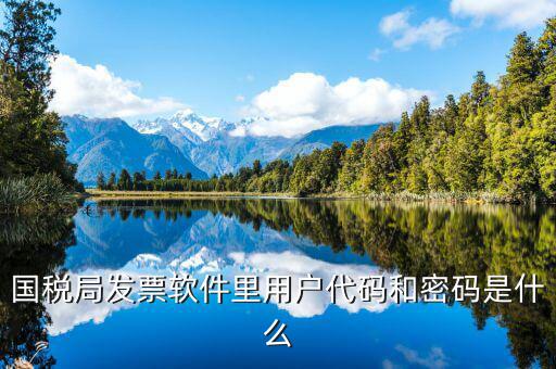 國(guó)稅用戶密碼是什么，你好我想問(wèn)你 一下 網(wǎng)上國(guó)稅的用戶名和密碼是什么