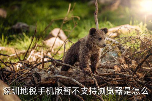 深圳國(guó)稅網(wǎng)站用什么瀏覽器打開(kāi)，國(guó)稅網(wǎng)為什么看不到增值稅申報(bào)表平時(shí)一打開(kāi)這個(gè)頁(yè)面就可以點(diǎn)擊看