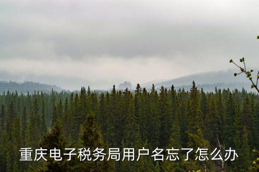 重慶電子稅務局的網(wǎng)址是什么意思，重慶市國稅電子申報委托繳稅的網(wǎng)址