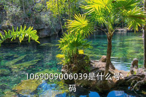 10699999是什么號(hào)碼，1069009006039是什么號(hào)碼