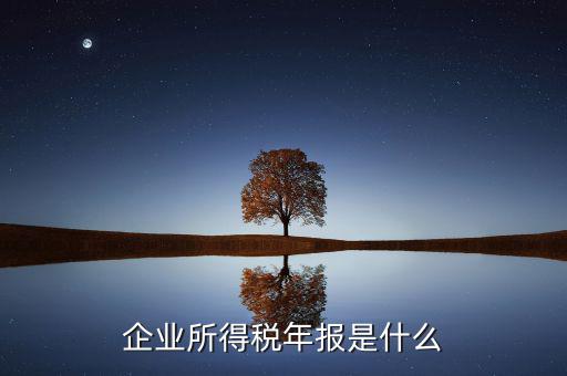 企業(yè)所得稅年度申報(bào)有什么用，企業(yè)所得稅按季申報(bào)和年度申報(bào)有什么區(qū)別