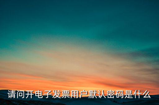重慶國(guó)稅電子發(fā)票登錄密碼是什么意思，國(guó)稅局發(fā)票軟件里用戶代碼和密碼是什么