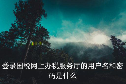稅務查詢賬號密碼是什么意思，登錄國稅網(wǎng)上辦稅服務廳的用戶名和密碼是什么