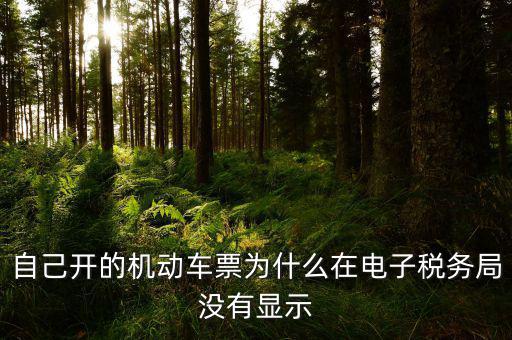 為什么登錄電子稅務局沒有反映，自己開的機動車票為什么在電子稅務局沒有顯示