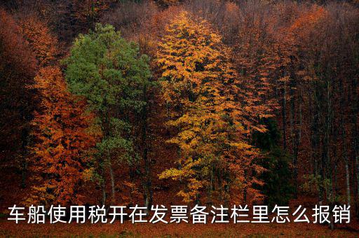 車船使用稅為什么在發(fā)票備注欄，保險公司代收的車船稅稅款是填在備注欄里的么