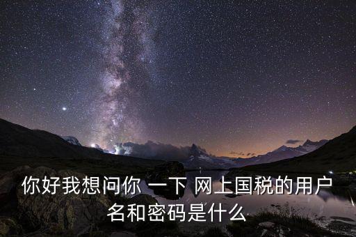 網(wǎng)上稅務(wù)辦理密碼是什么意思，國稅第一次網(wǎng)上申報(bào)的登陸密碼是什么